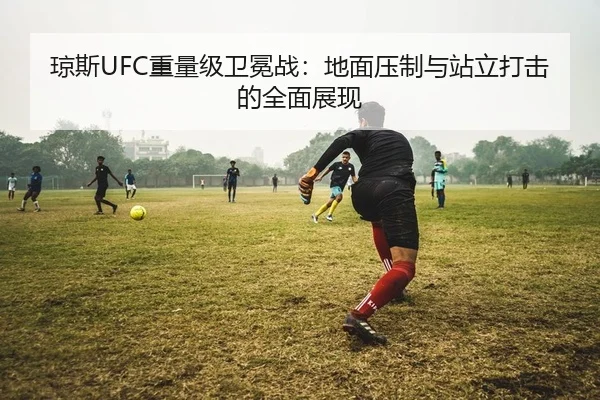 琼斯UFC重量级卫冕战：地面压制与站立打击的全面展现